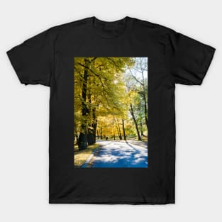 Autumn in Helsinki T-Shirt